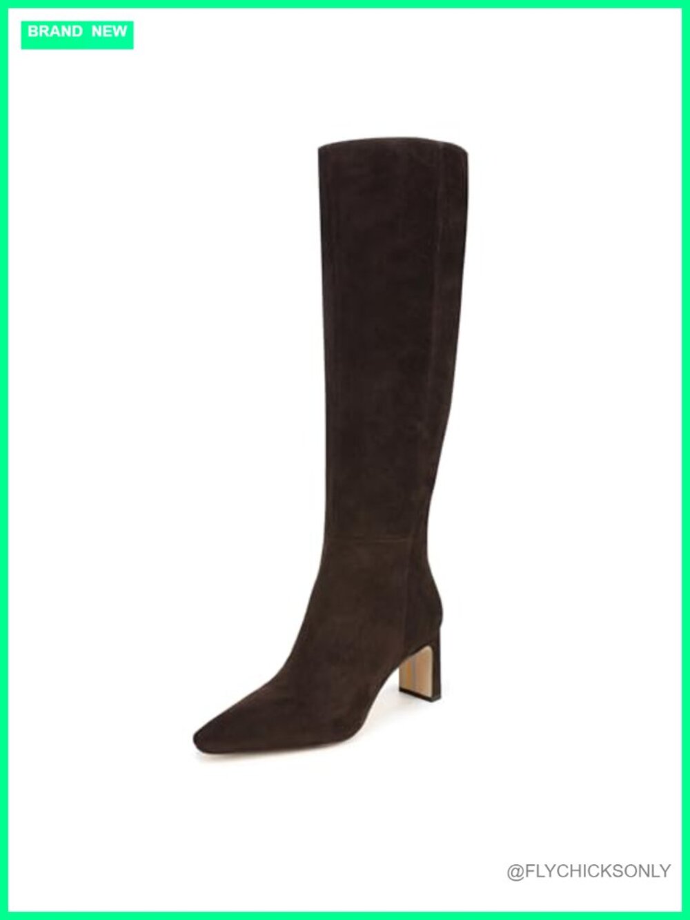 Sam Edelman Sylvia Knee-High Pointed Toe Block Heel Boots Leather